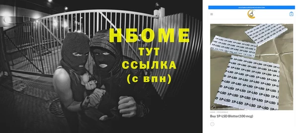 СК Алексин