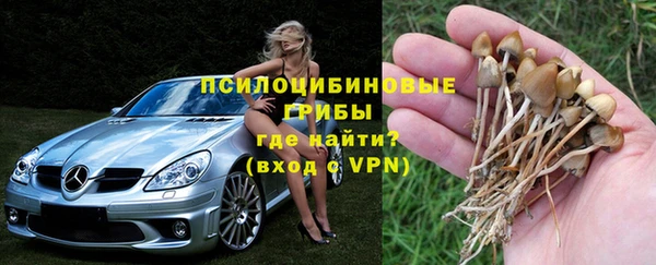 гидропоника Алексеевка