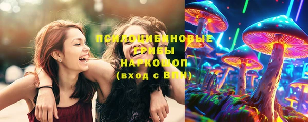 гидропоника Алексеевка